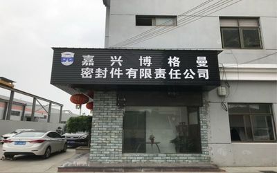 Çin Jiaxing Burgmann Mechanical Seal Co., Ltd. Jiashan King Kong Branch şirket Profili